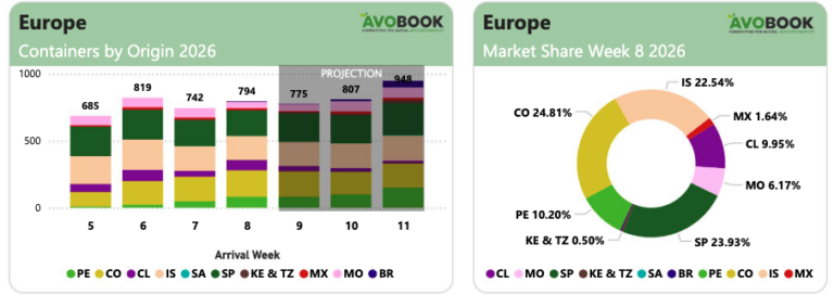 European avocado imports